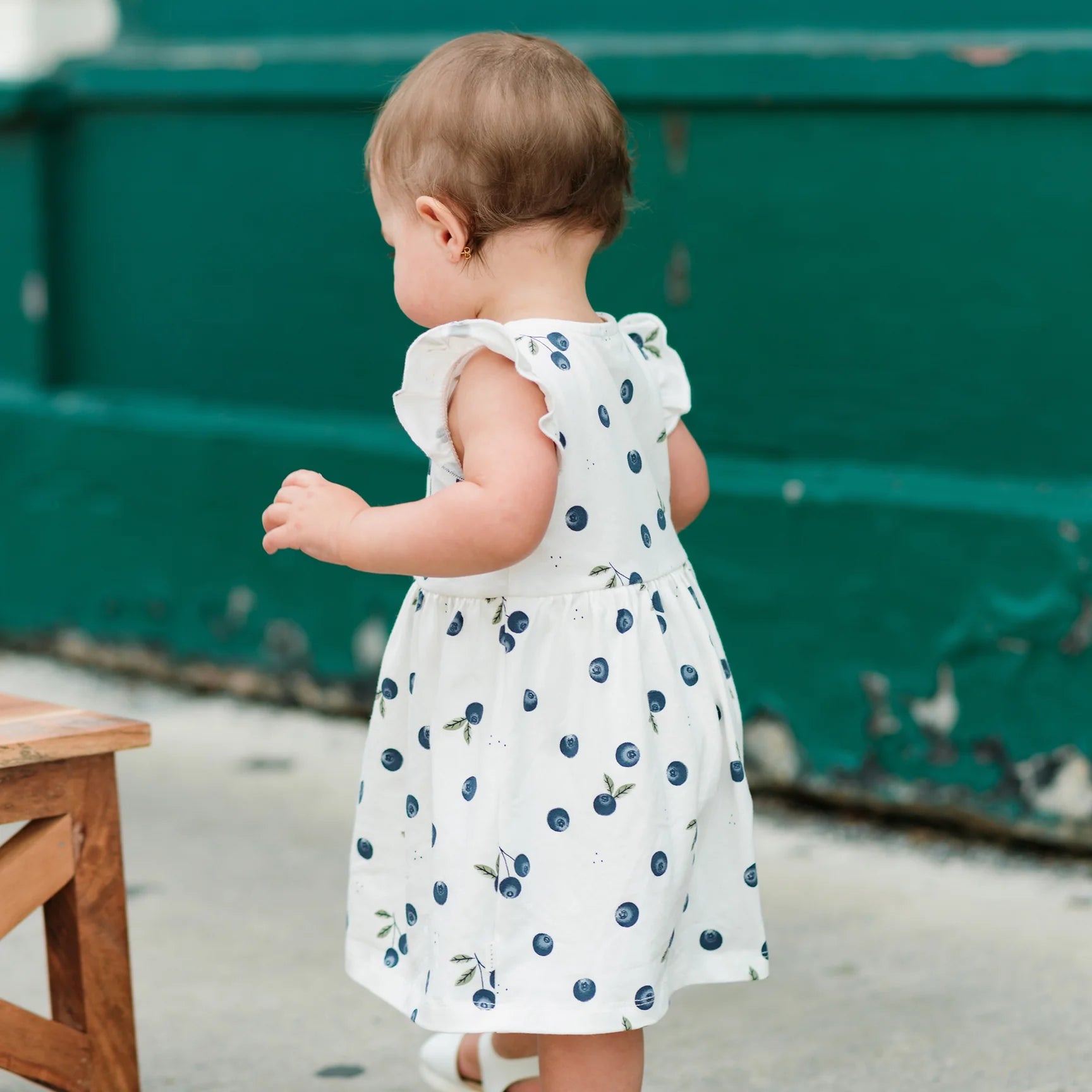 Blueberry Print Bodysuit Dress 6M