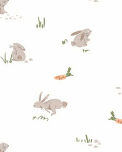 Load image into Gallery viewer, Rabbits Modal Zipper Footie

